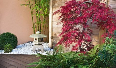 Paysagiste professionnel pour la création d’un petit jardin zen japonais à Saintes